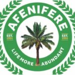 Afenifere demands immediate creation of state police amid rising insecurity